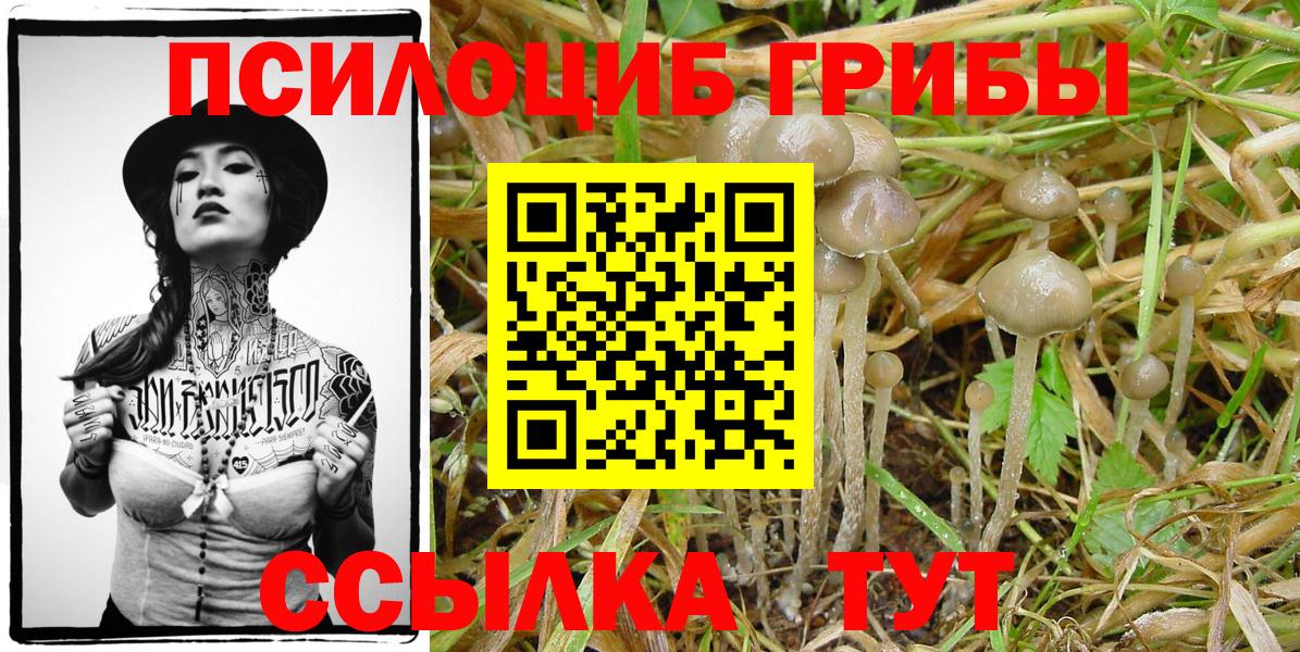 Псилоцибиновые грибы ЛСД Лыткарино